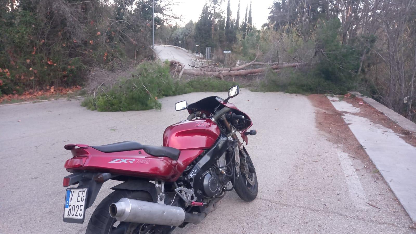 Foto 4 de Moto 