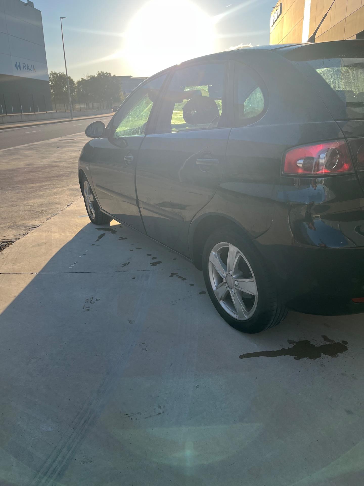 Foto 2 de Seat Ibiza 1.9 tdi