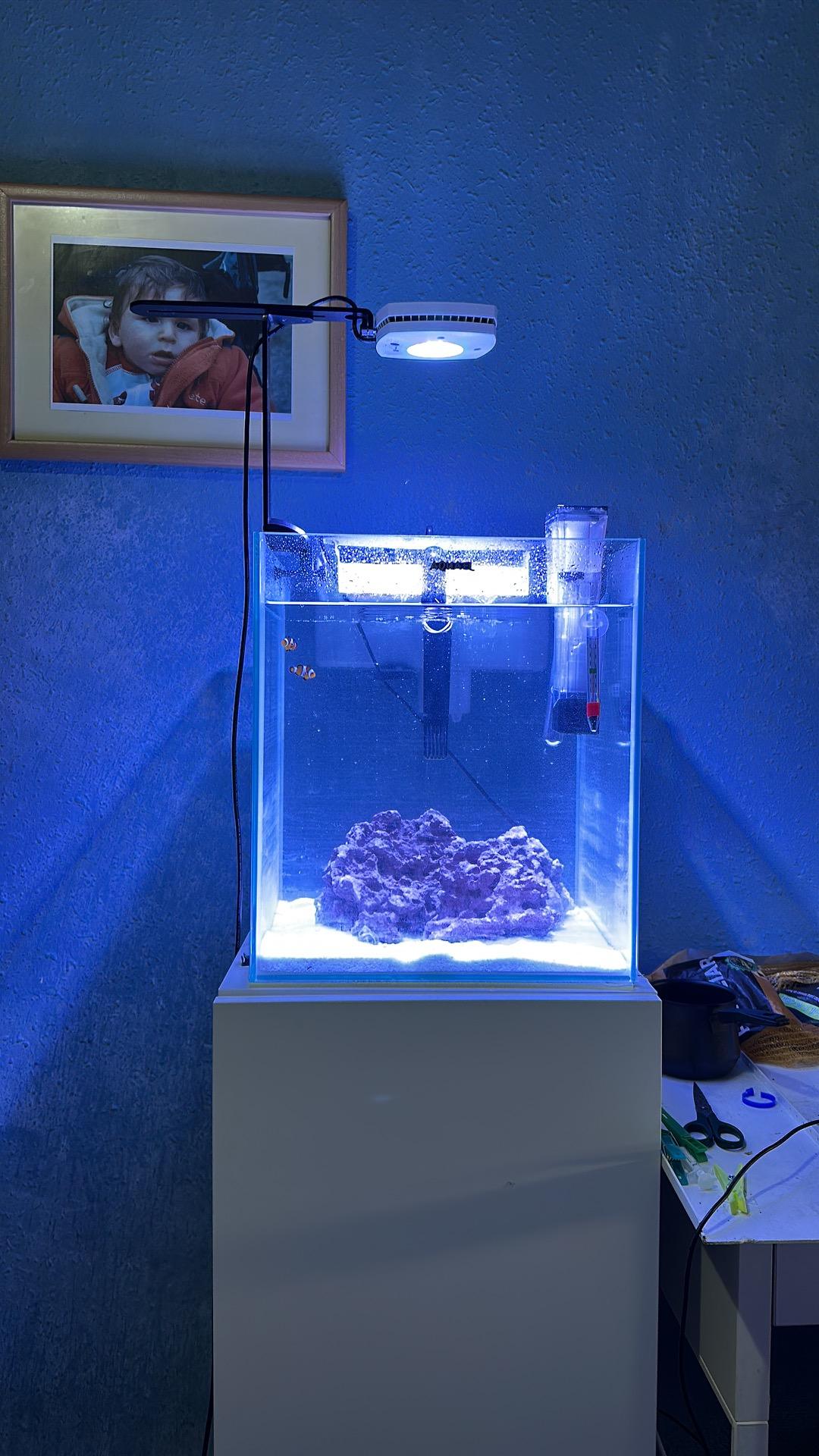 Foto 4 de Nano acuario marino 49L 35x35x40 con mueble