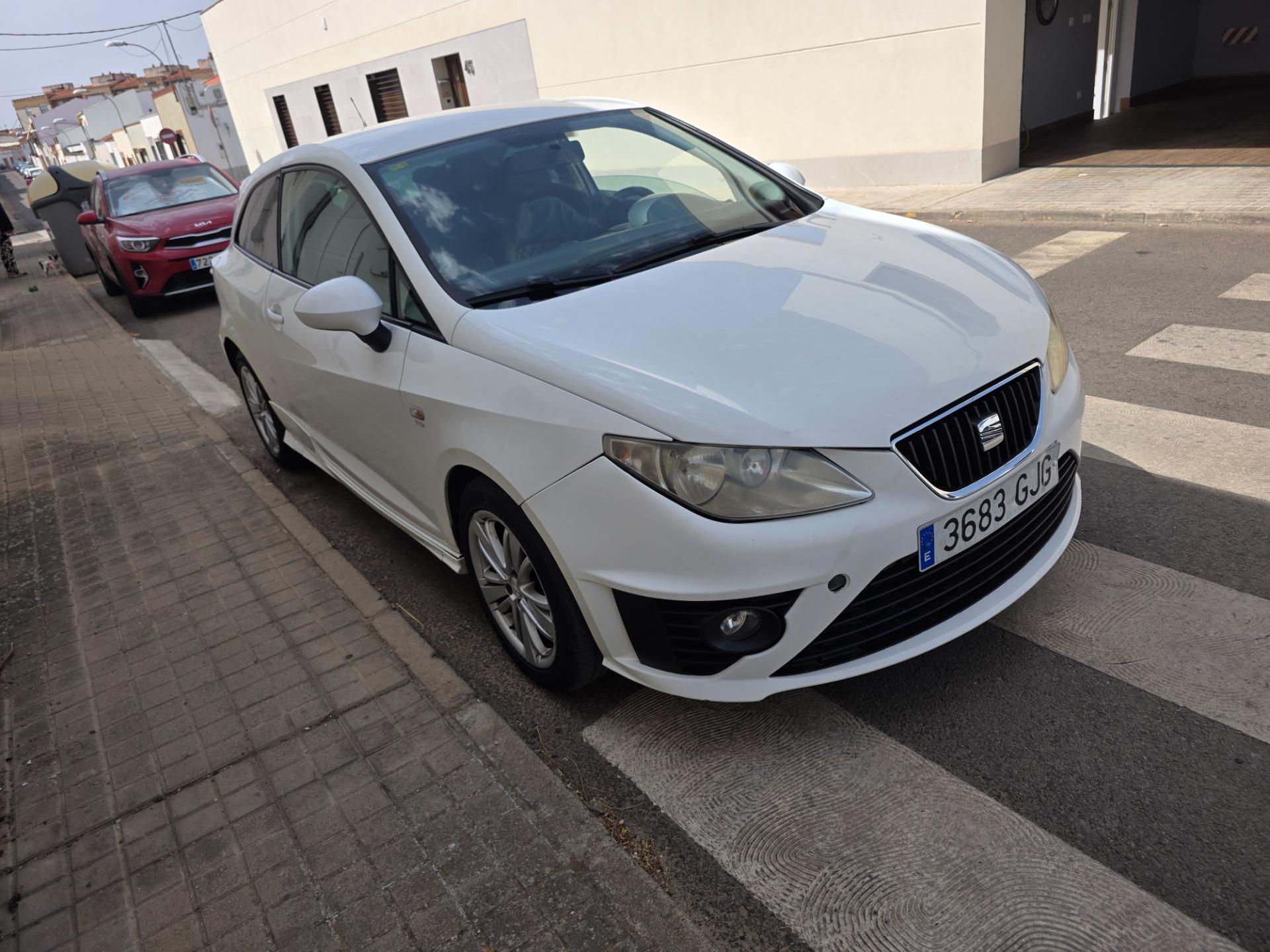 Foto 7 de Seat Ibiza sport coupe 1.9 tdi 105 cv  2009