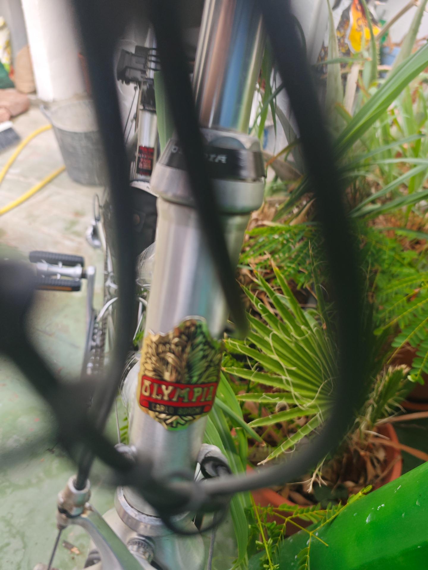 Foto 2 de Bicicleta Olimpia de aluminio aeronautico