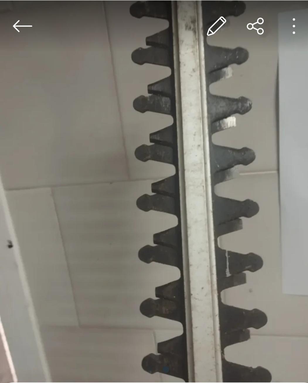 Foto 1 de Corta setos 