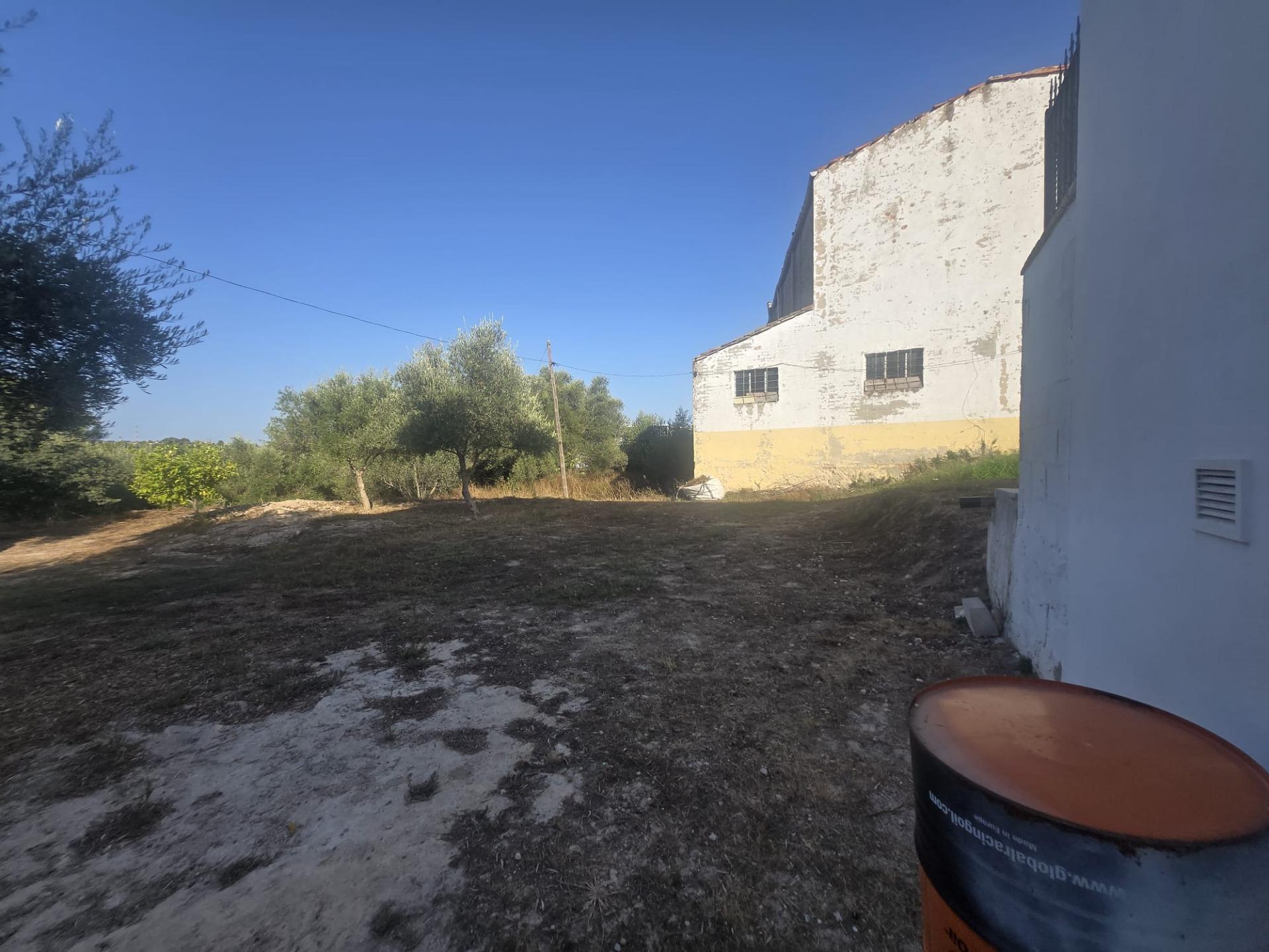 Foto 5 de Parcela L'Olleria – Permuta valor 35.000 €