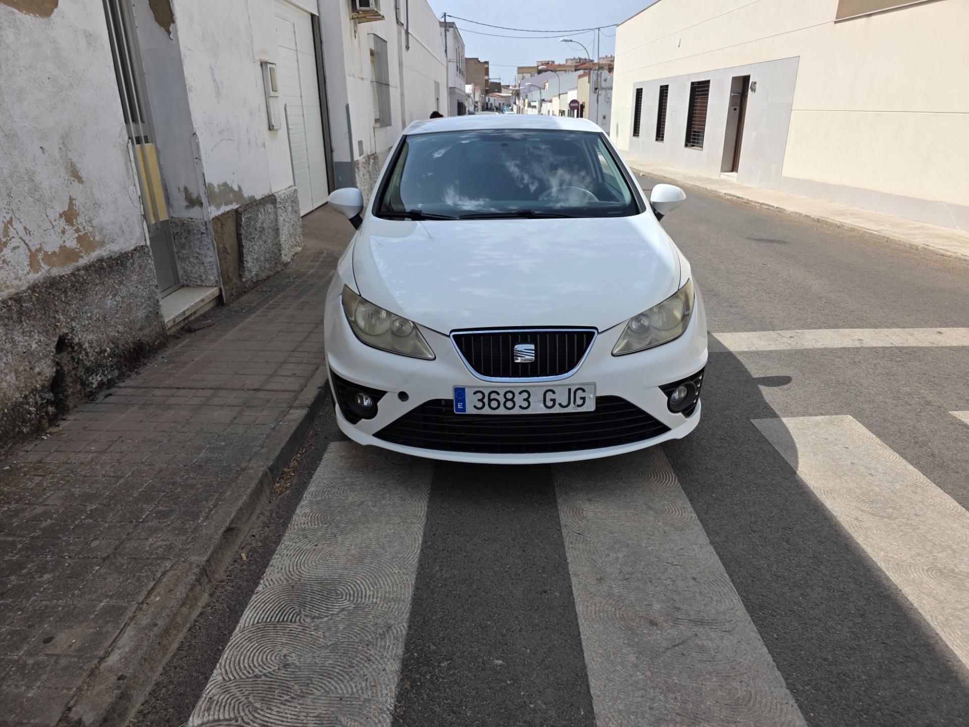 Foto 8 de Seat Ibiza sport coupe 1.9 tdi 105 cv  2009