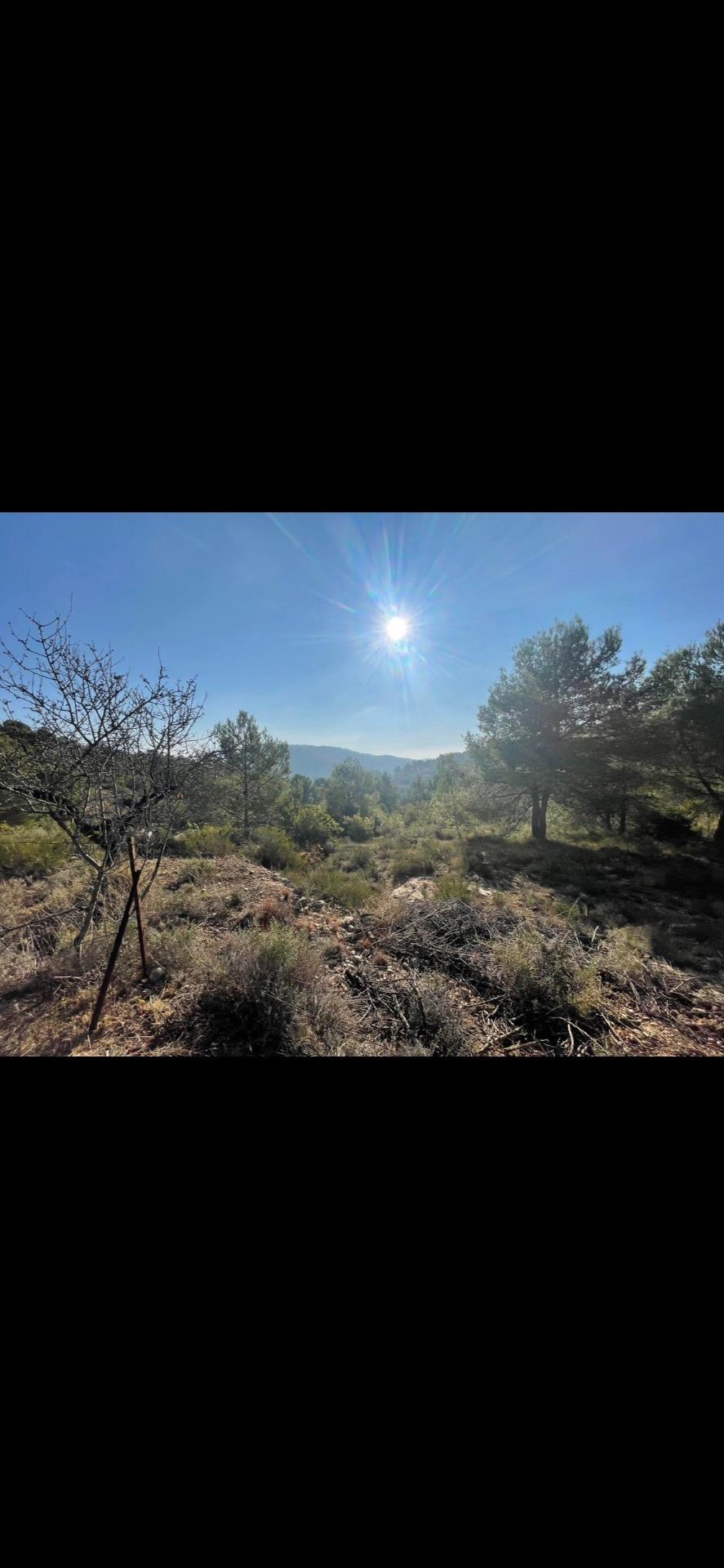 Foto 2 de Casa de Campo 