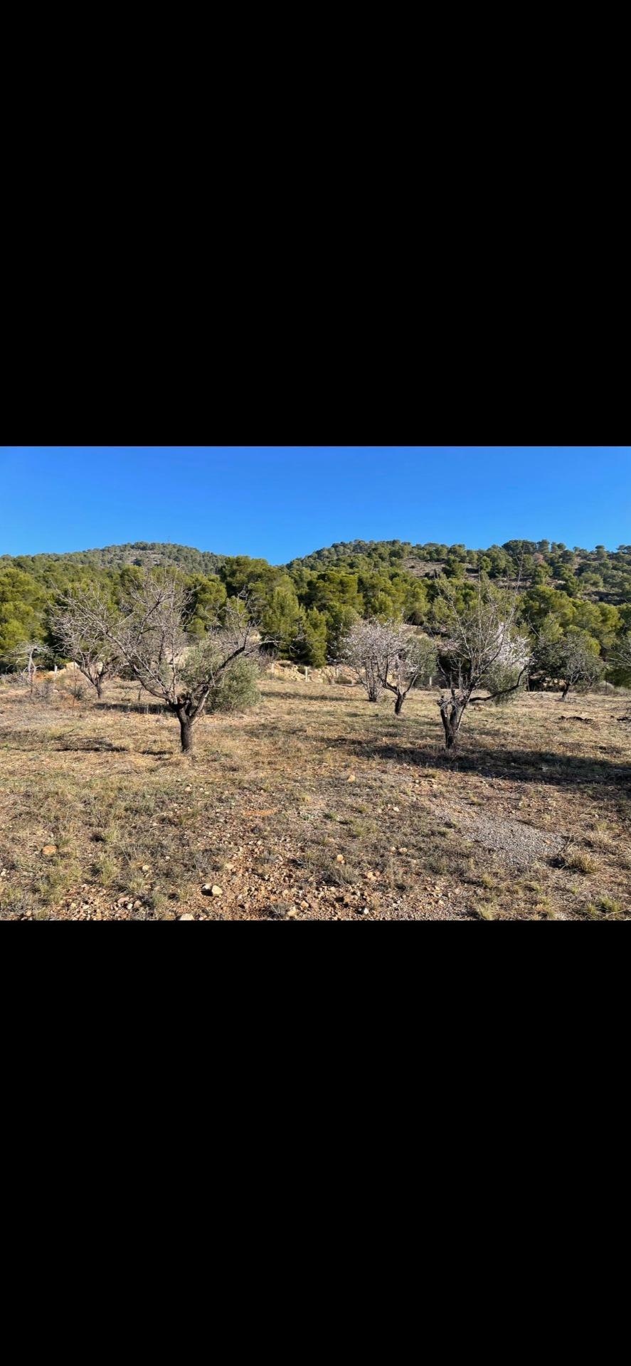 Foto 5 de Casa de Campo 