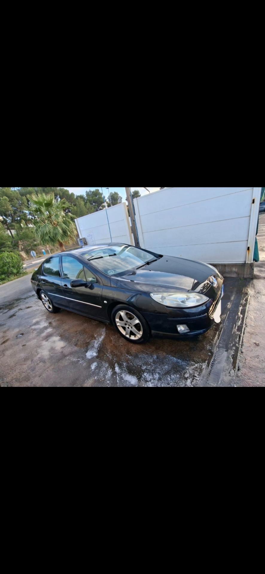 Foto 3 de Peugeot 407 2HDI