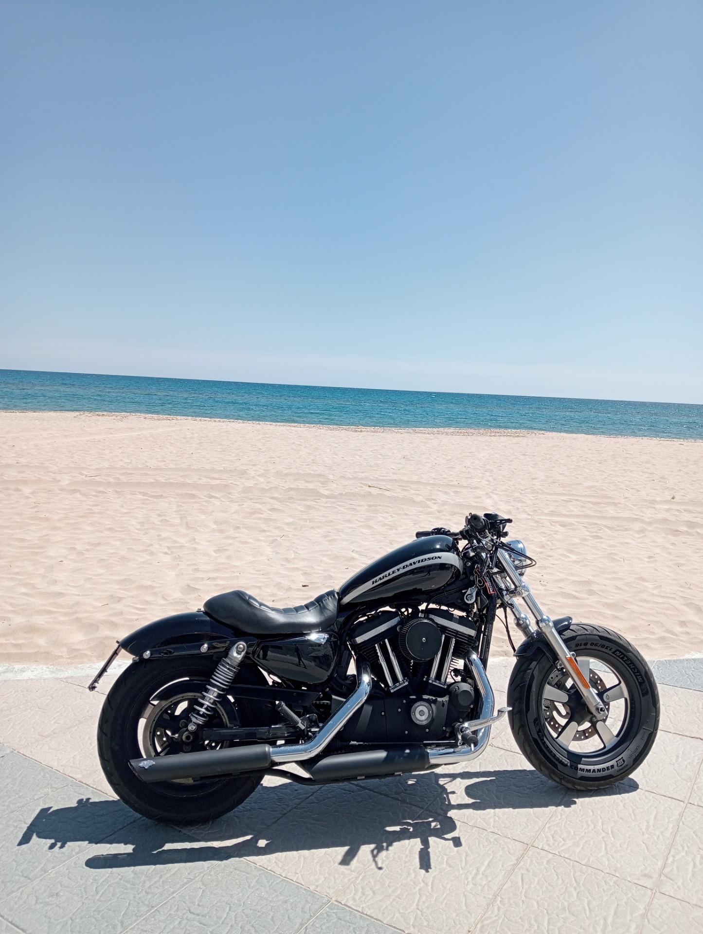 Foto 1 de Harley Davidson sporster 1200 custom  