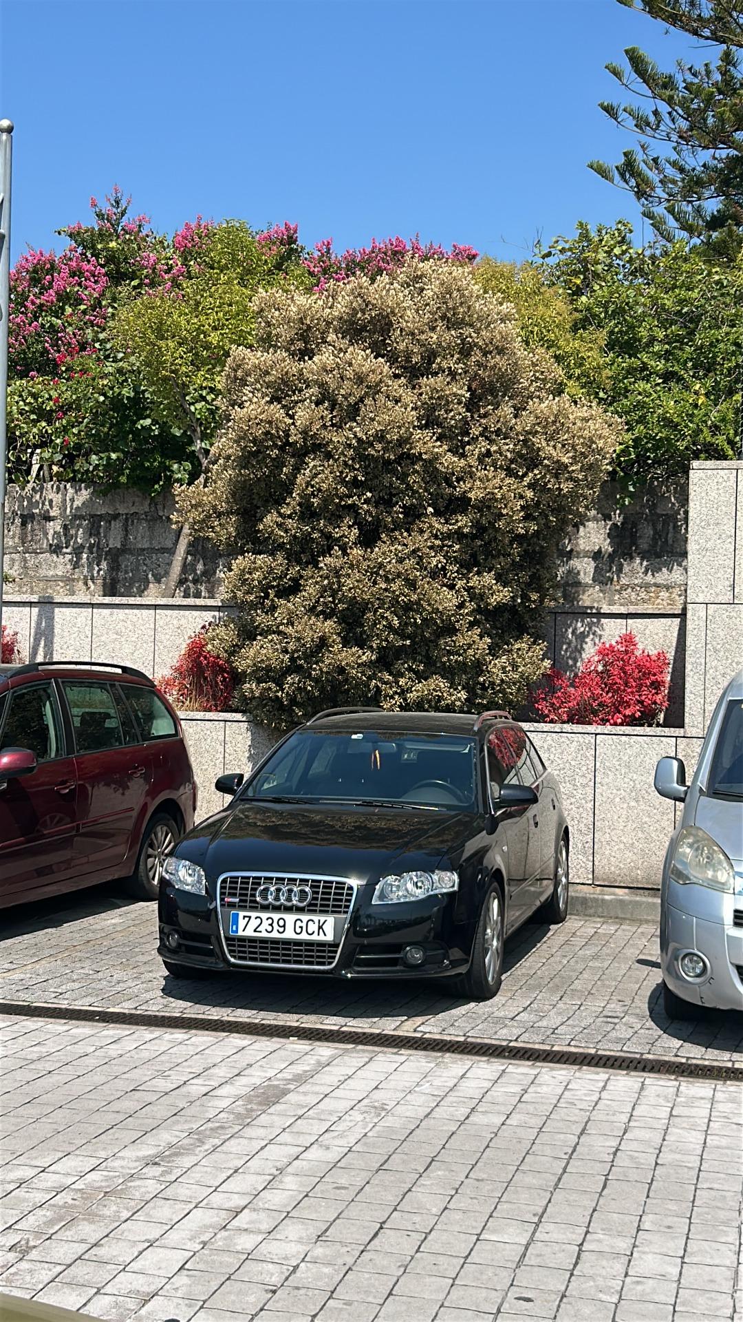 Foto 5 de Audi a4 b7 2.0 tdi Stage 1 y Egr desac