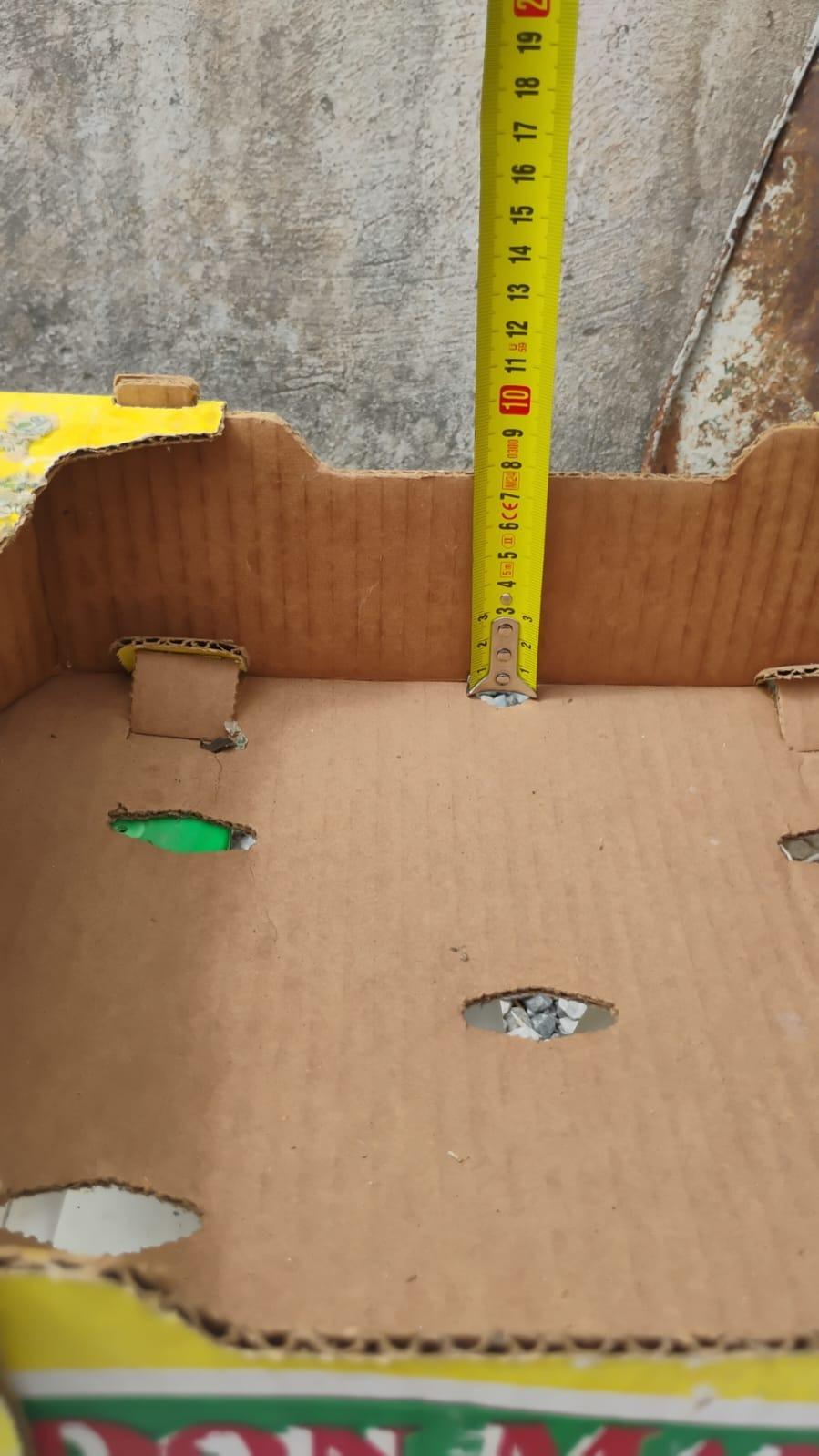 Foto 1 de cajas de carton para fruta o verdura 