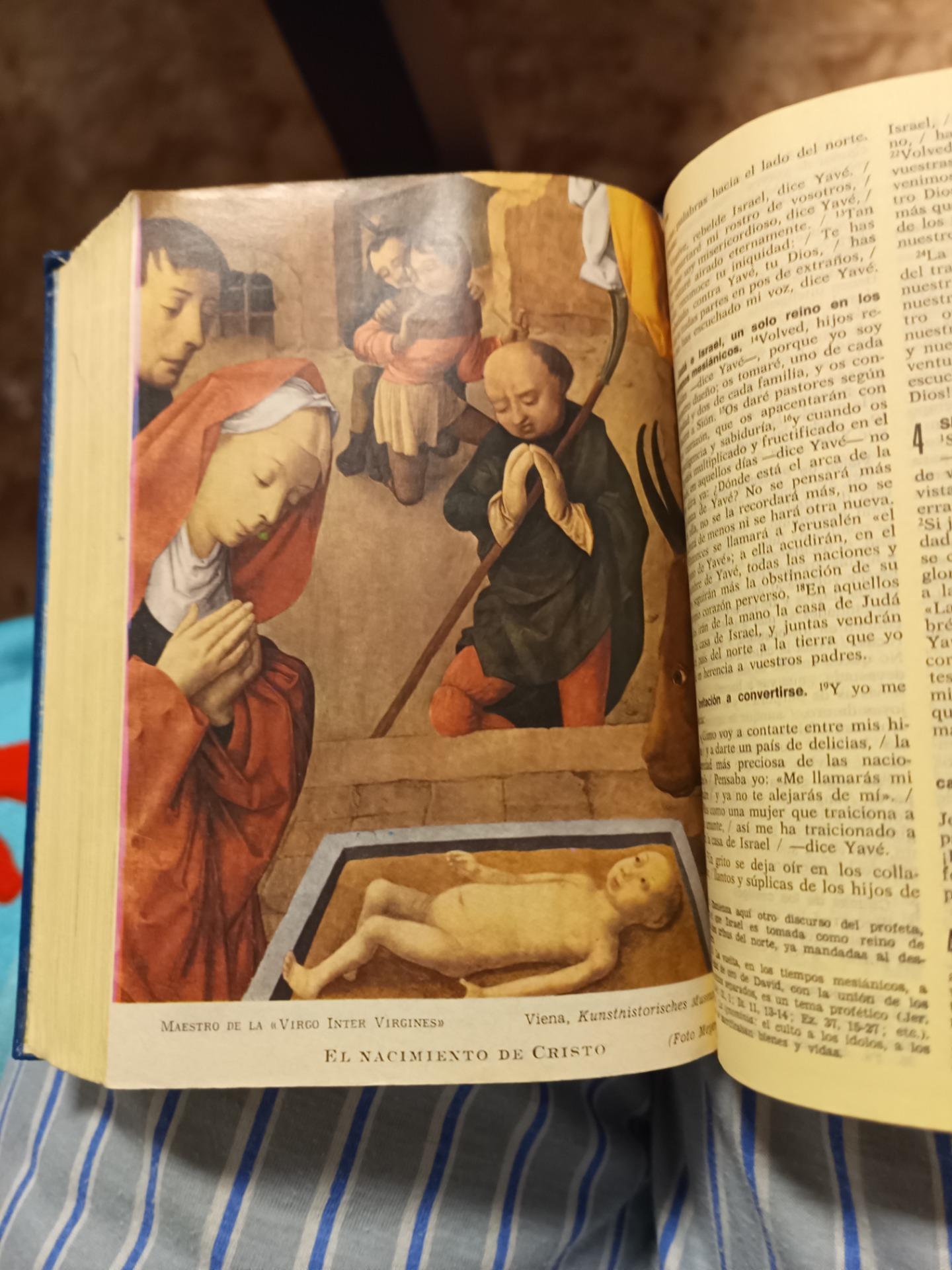 Foto 4 de Santa Biblia,un cuadro de naturaleza 