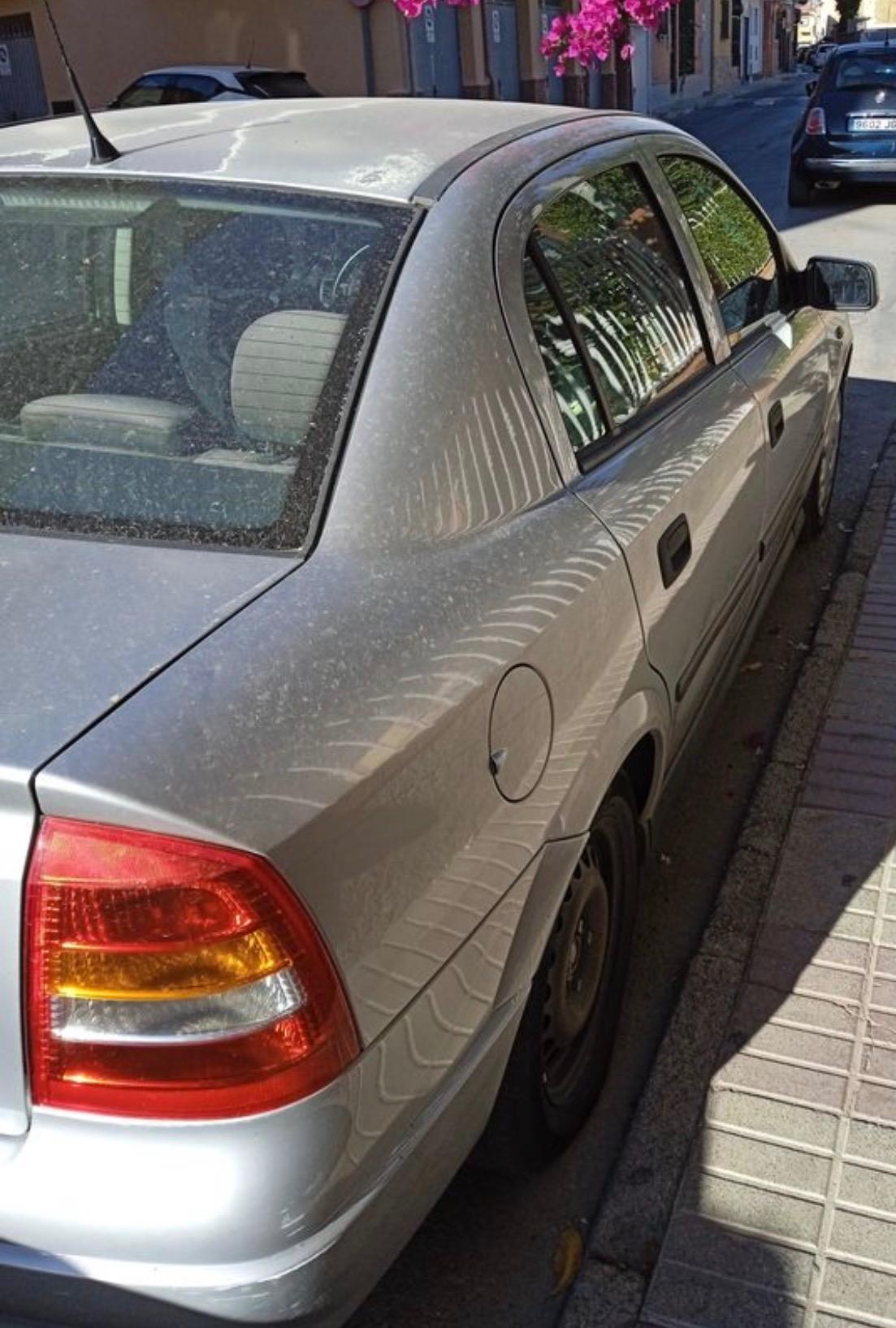 Foto 4 de Coche