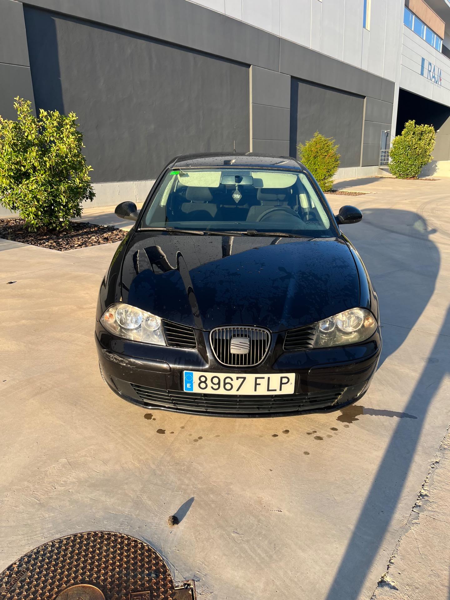 Foto 4 de Seat Ibiza 1.9 tdi