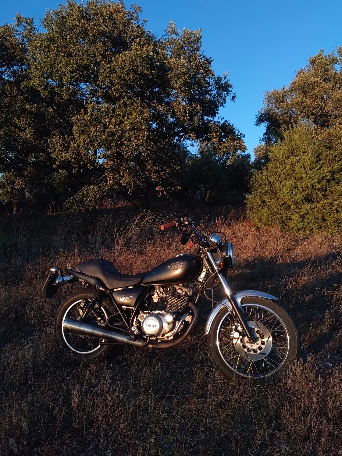 Foto 1 de Yamaha Sr 250 Special