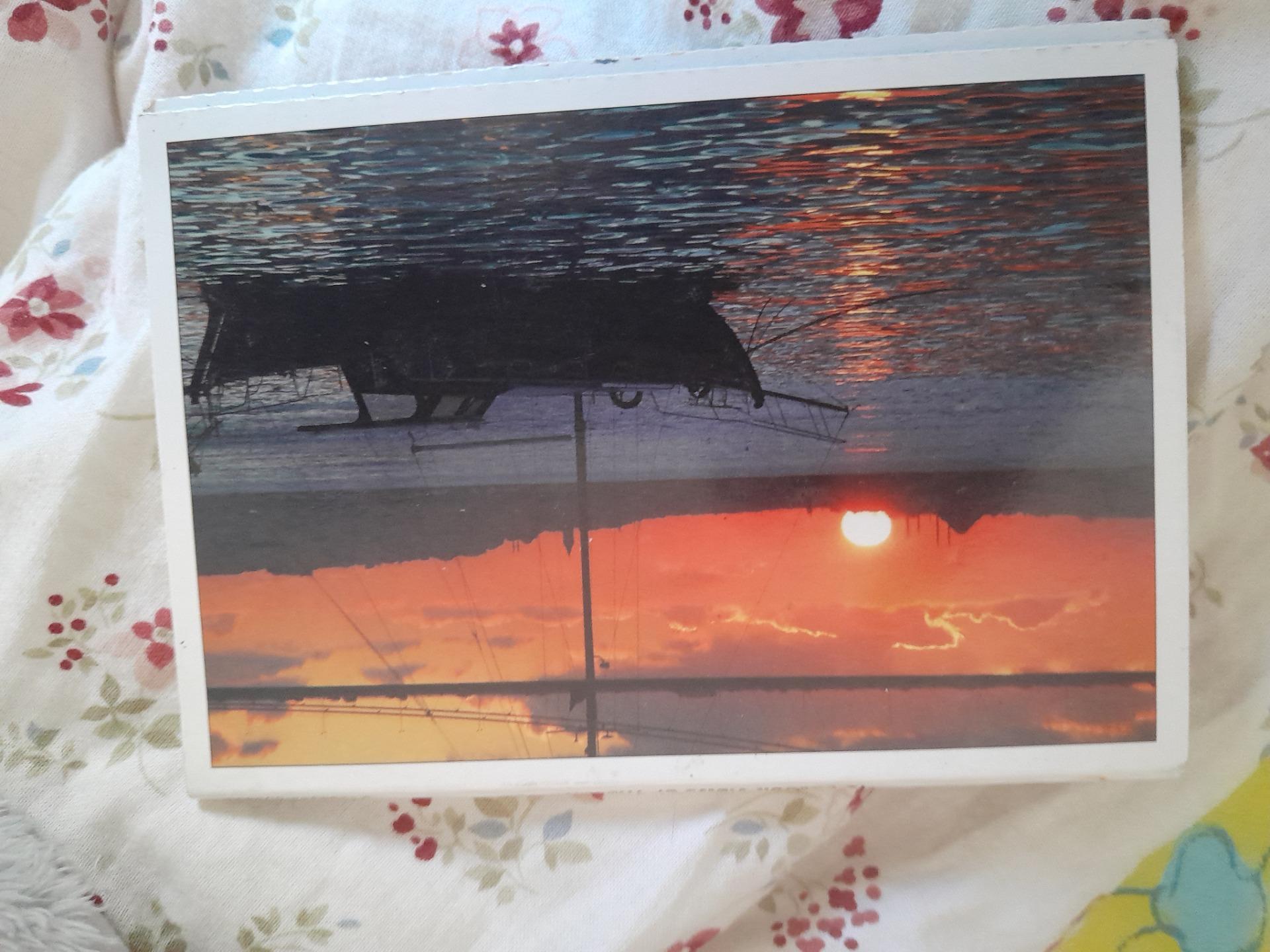 Foto 7 de Libras de postales 