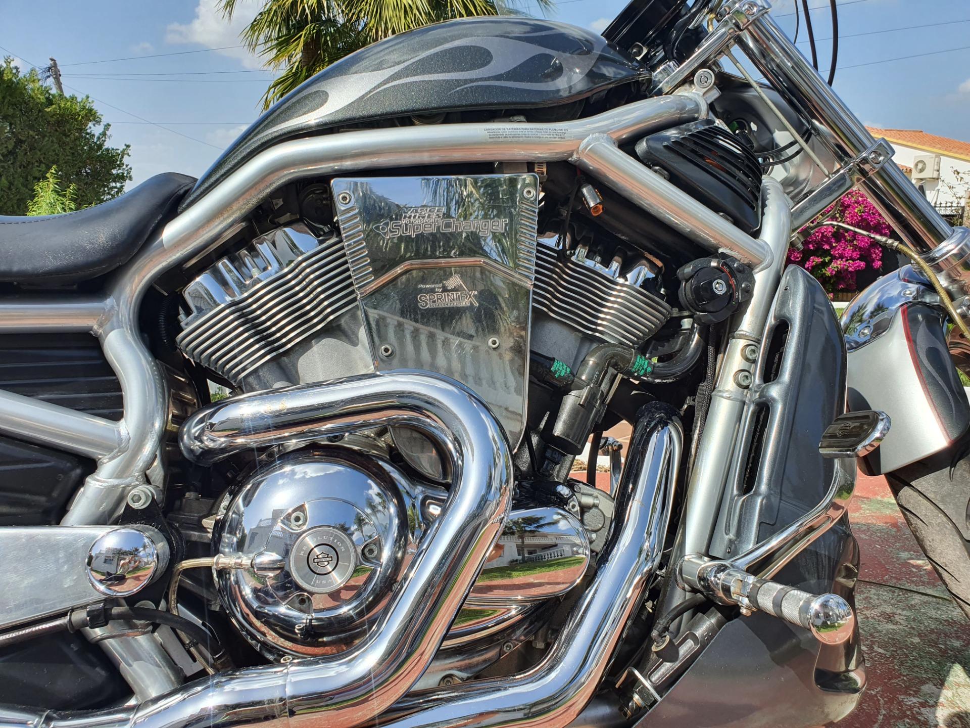 Foto 6 de Harley Davidson VROD