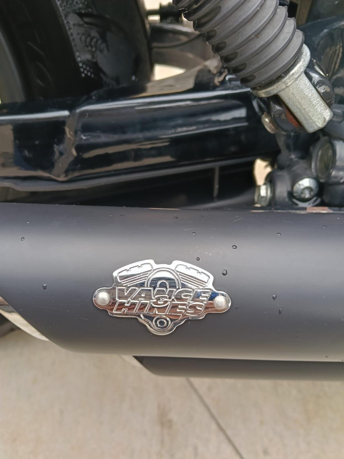 Foto 9 de Harley Davidson sporster 883 iron xl
