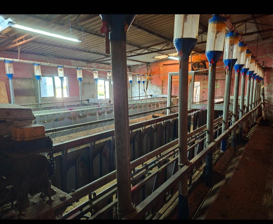 Foto de Carro de ordeño 48 puntos 