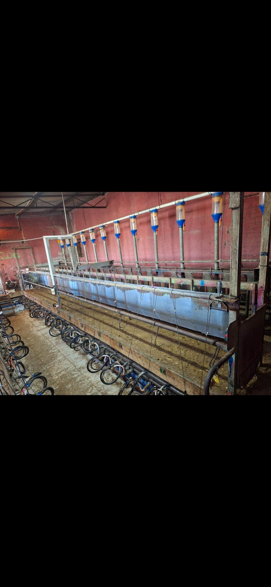 Foto 4 de Carro de ordeño 48 puntos 