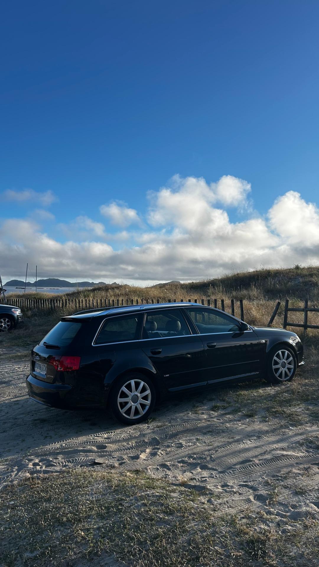Foto 4 de Audi a4 b7 2.0 tdi Stage 1 y Egr desac
