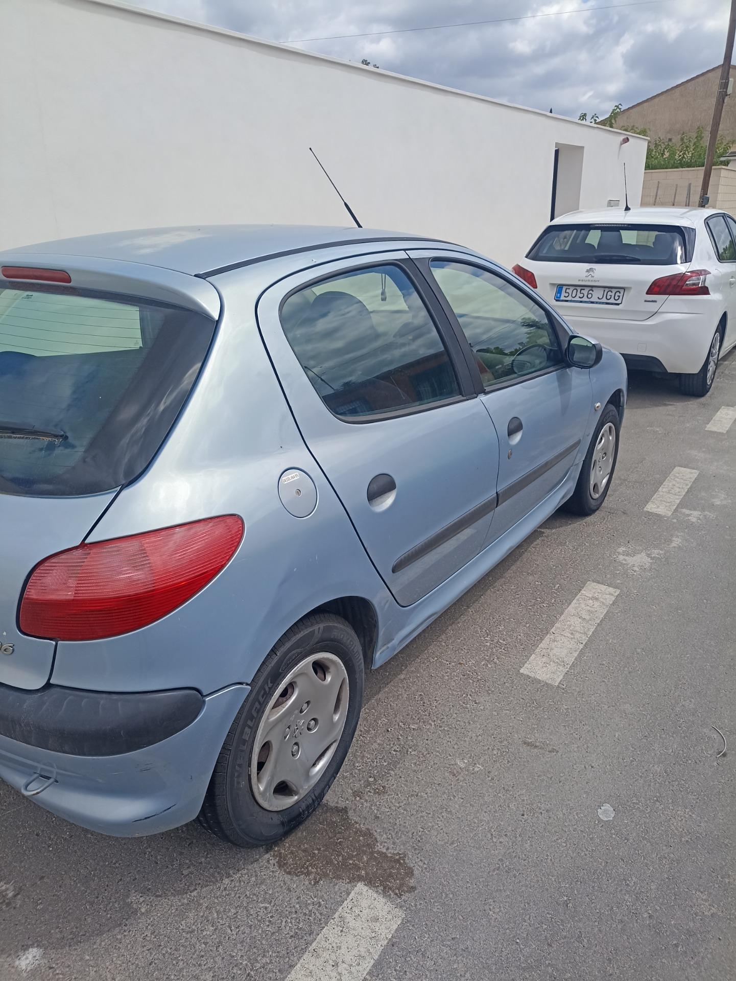 Foto 6 de PEUGEOT 206 