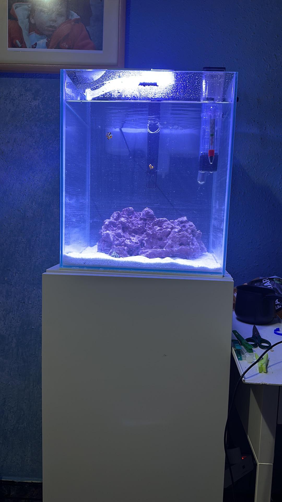 Foto 3 de Nano acuario marino 49L 35x35x40 con mueble
