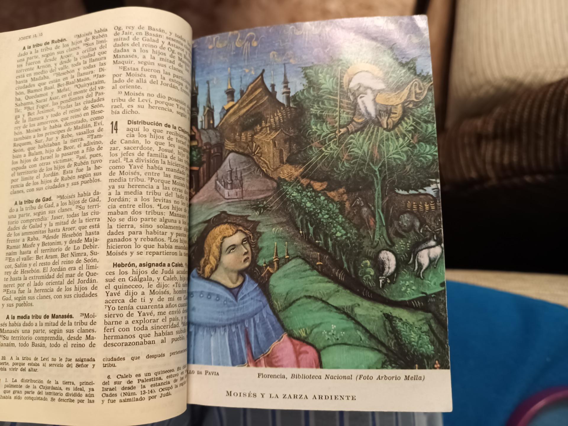 Foto 3 de Santa Biblia,un cuadro de naturaleza 