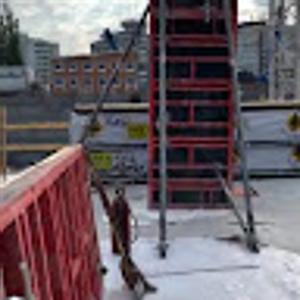 Foto de perfil de David Molina