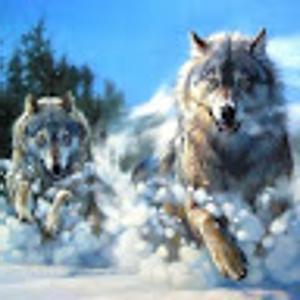 Foto de perfil de Esther