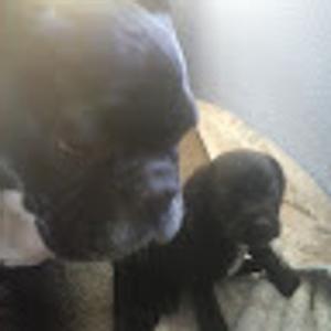 Foto de perfil de Carlos