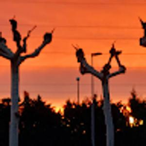 Foto de perfil de JAVIER BUENO DIAZ