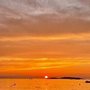 Foto de perfil de Lucila