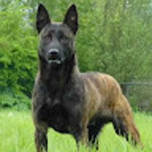 Foto de perfil de Adrián