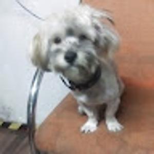 Foto de perfil de Fernando