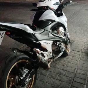 Foto de perfil de Lolo