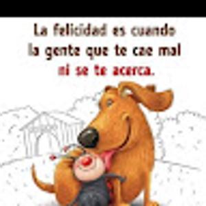 Foto de perfil de Xavier Alonso