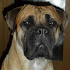 Foto de perfil de F HT