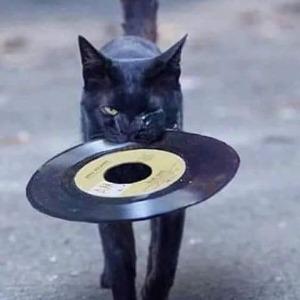 Foto de perfil de Juan Manuel