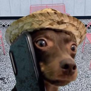 Foto de perfil de S.R