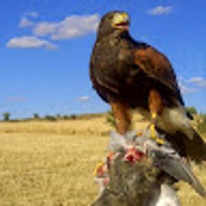 Foto de perfil de ANTONIO JESUS RODRIGUEZ GONZALEZ