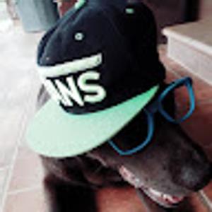 Foto de perfil de bl4zl_ivan