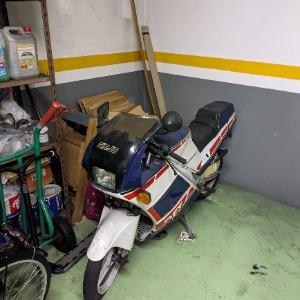 Foto de perfil de Adei Salcedo
