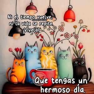 Foto de perfil de Cati